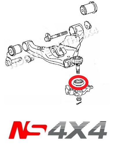 Ns4x4